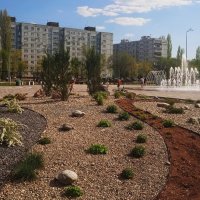 Центральный парк :: Елена Шаламова Центральный парк :: Елена Шаламова