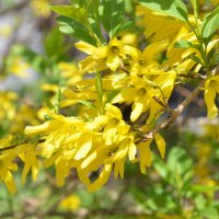 Москва. Парк Зарядье. Весна. Апрель. :: Наташа *****