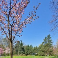 Ну как без камушков.. :: ИРЭН@ . Ну как без камушков.. :: ИРЭН@ .