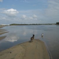 Лето :: Anna Ivanova