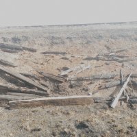 Пожар был около Ж/Д путей. :: Игорь Солдаткин