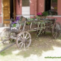 В Петропавловке...СПБ... :: vadim 