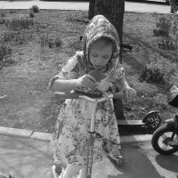 Милашка :: Дмитрий Никитин