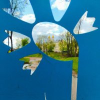 Василёк :: Галина Бобкина Василёк :: Галина Бобкина