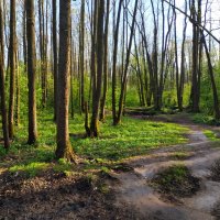 Но солнце надо было ловить :: Андрей Лукьянов