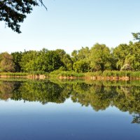 Зеркальная гладь озера :: Сергей М 