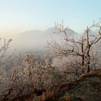 Утром холодным...... :: Юрий Цыплятников