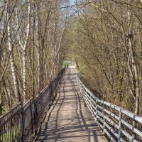 ___ :: Yuriy V ___ :: Yuriy V