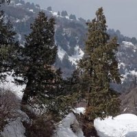 ВОСКРЕСНАЯ ПРОГУЛКА. :: Виктор Осипчук