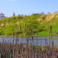На берегах реки Зуша. :: Борис Митрохин