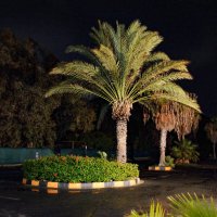 Почти ночь :: Oleg4618 Шутченко Почти ночь :: Oleg4618 Шутченко