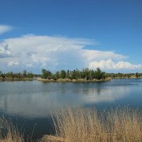 Весна. :: Виктор 