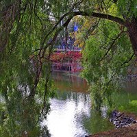 В городском парке :: Игорь Белоногов В городском парке :: Игорь Белоногов