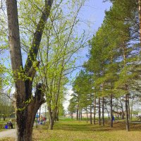 Вот и май на пороге ! С наступающим , друзья ! :: Мила Бовкун Вот и май на пороге ! С наступающим , друзья ! :: Мила Бовкун