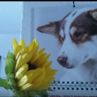 111 (65) :: СТРЕН 