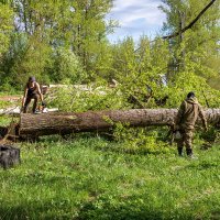 На солнечной поляночке :: Анатолий. Chesnavik.