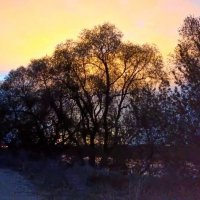 Начало нового дня. :: Михаил Столяров