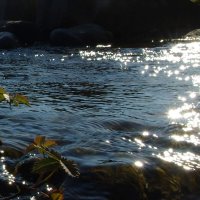 Ручей :: Сергей Швечков Ручей :: Сергей Швечков