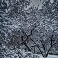 Пейзаж :: SanSan 