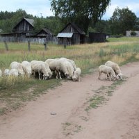 Поселок Камский :: Марсель Валеев