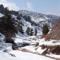 ВОСКРЕСНАЯ ПРОГУЛКА. :: Виктор Осипчук
