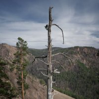 * :: Александр Иванов