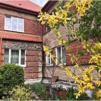 Палисадник. :: Валерия Комова Палисадник. :: Валерия Комова