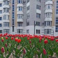 *** :: Валентина Береснева *** :: Валентина Береснева