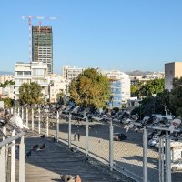 Голубиный мост :: Oleg4618 Шутченко