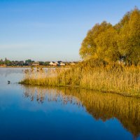Весенний рассвет. :: Sergey (Apg)