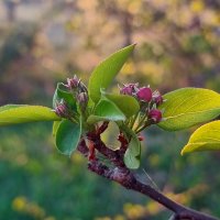 На закате :: Валентина Богатко 