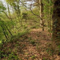 Забурился не туда... :: Николай Гирш Забурился не туда... :: Николай Гирш