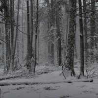 Пермско-апрельский каприз :: Роман Пацкевич