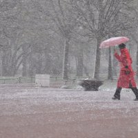 Весенний снегопад. :: Харис Шахмаметьев
