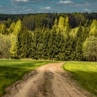 Люблю природу, только здесь я не притворяюсь и чувствую себя самОЙ собой. :: Екатерина Счасная