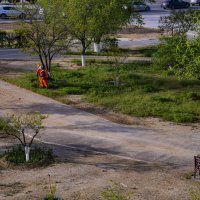 Уборка :: Анатолий Чикчирный