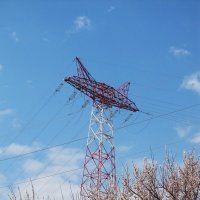 кот над городом :: Елена Шаламова кот над городом :: Елена Шаламова