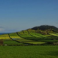 Magic Azores 51 :: Arturs Ancans