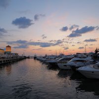 В акватории Сочинского Морского вокзала. :: Евгений Седов