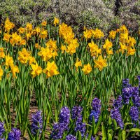 *** :: Дмитрий Лупандин