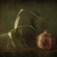 Пегас... :: Oleg Rastorguev