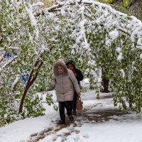 Так май украсил город. :: Анатолий. Chesnavik.