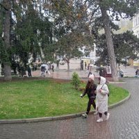 Снег в апреле (12.04.25) :: Galina Solovova