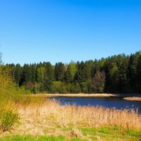 Май на Смоленщине (репортаж из поездок по области). :: Милешкин Владимир Алексеевич 