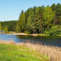 Весна в мае :: Милешкин Владимир Алексеевич 