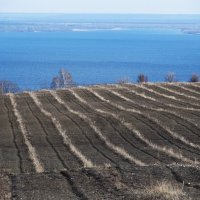 Хвалынские просторы :: Елена Шаламова