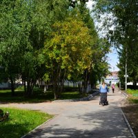 Чебоксары. Рябина на летней аллее сквера им. Анатолия Пуганина. :: Пётр Чернега