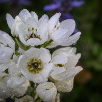 круиз по балкончику :: Осень 