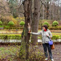 *** :: Дмитрий Лупандин