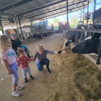 Бабушка погладит коровку. :: Светлана Хращевская Бабушка погладит коровку. :: Светлана Хращевская